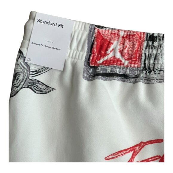 Air Jordan Brooklyn Chicago Bulls Nike Fleece Pants Size 3XL FN4547-133 NWT - Picture 3 of 6